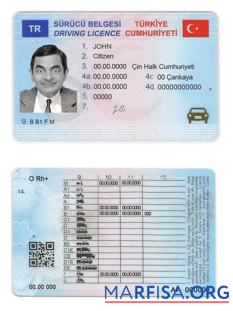 Printable Turkey driving license template
